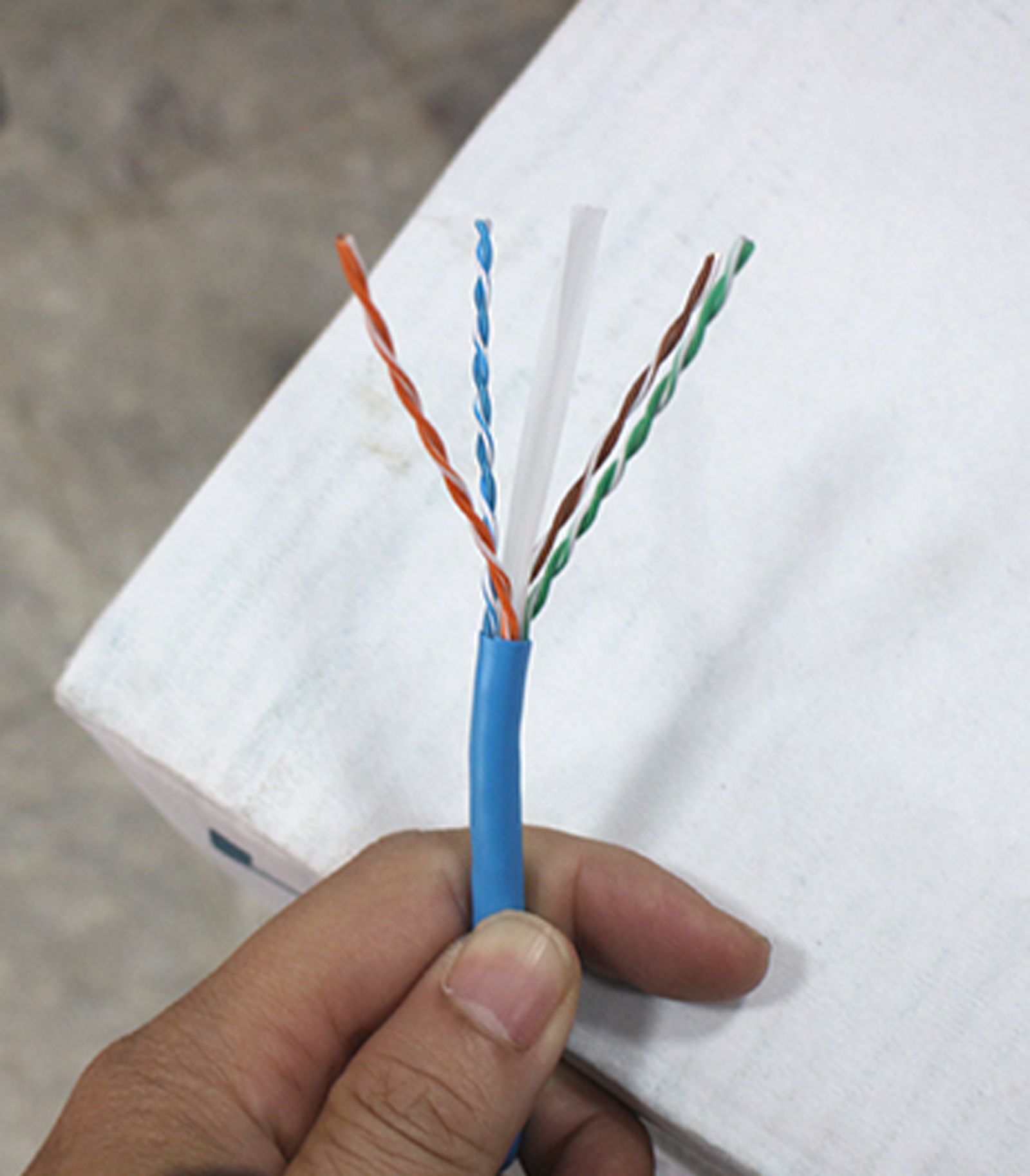 cap-mang-ls-cat6-utp-chinh-hang.png